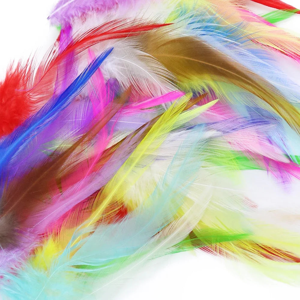 Natural Pheasant & Chicken Craft Feathers Bulk Lot