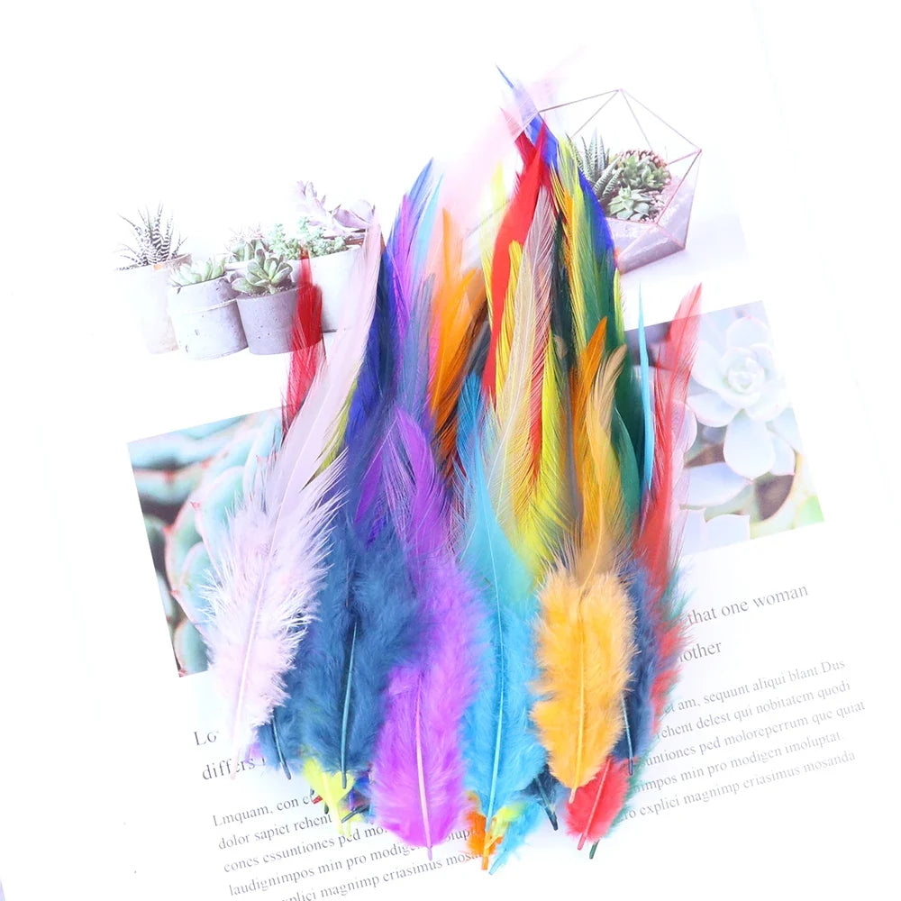 Natural Pheasant & Chicken Craft Feathers Bulk Lot
