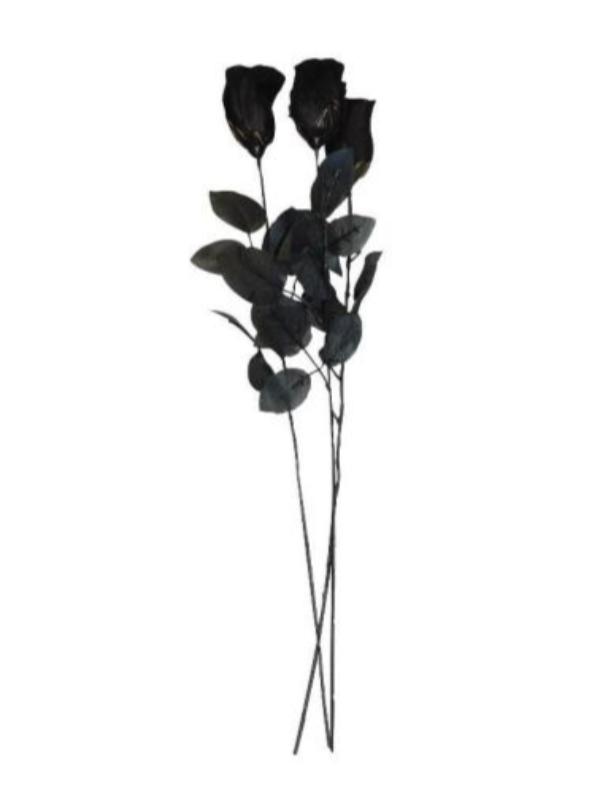 Long Black Rose