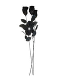Long Black Rose