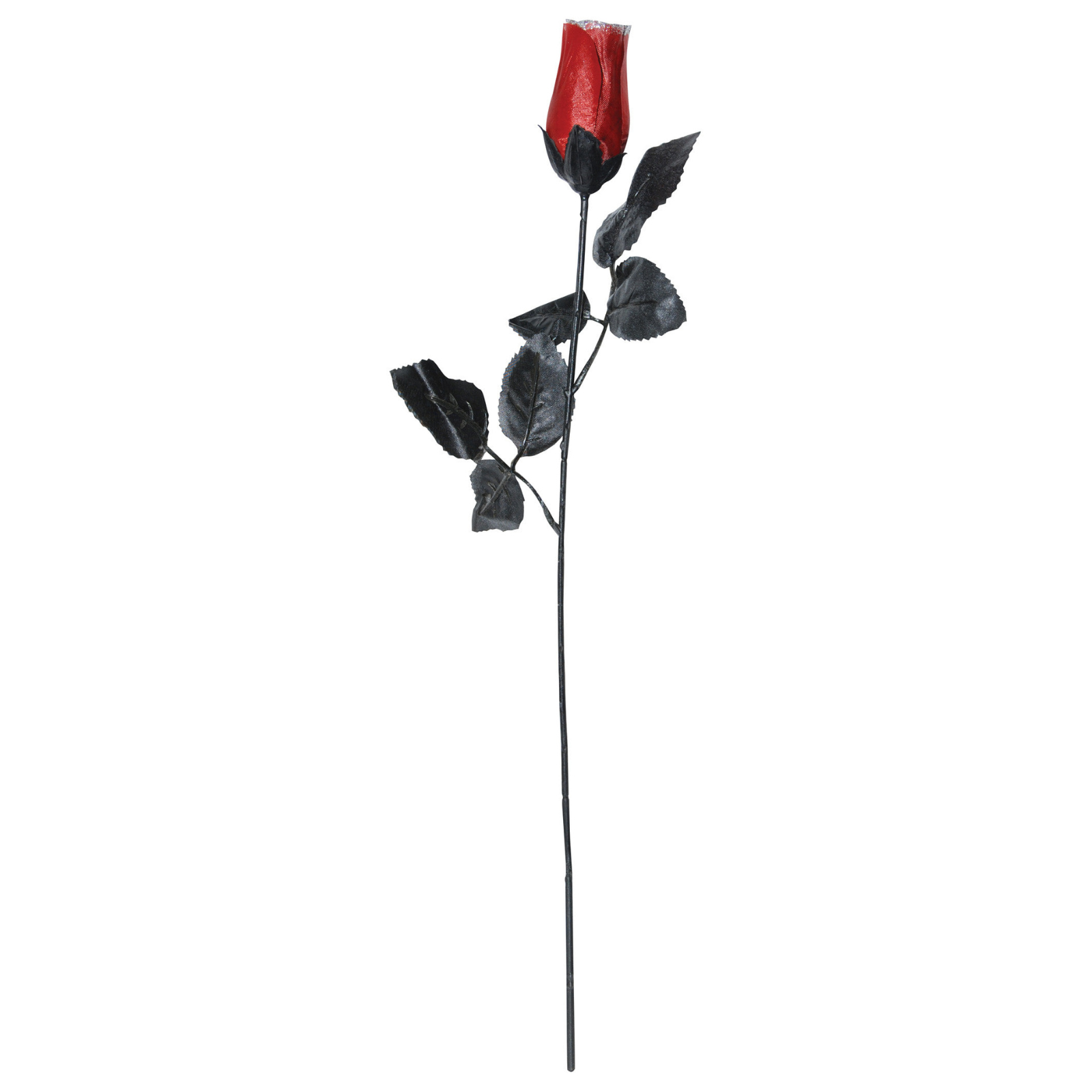 Pair of Dark Red Roses