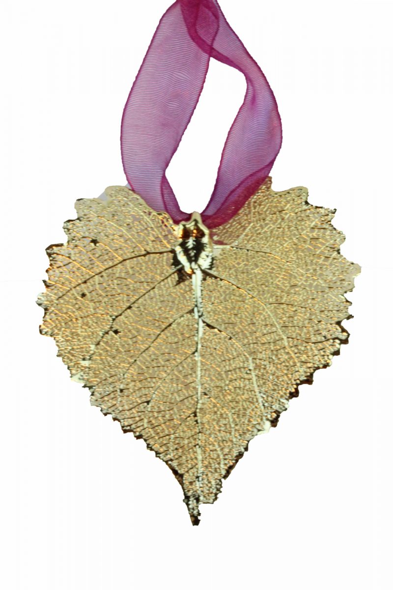 Gold Cottonwood Leaf with Sheer Ribbon Ornament