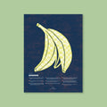 Banana Fun Facts Print