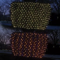 300 LED Net Light - Changes from Halloween to Christmas