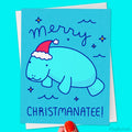 Funny Manatee Christmas Card "Merry Christmanatee"