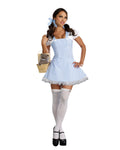 Dreamgirl Blue Gingham Dress