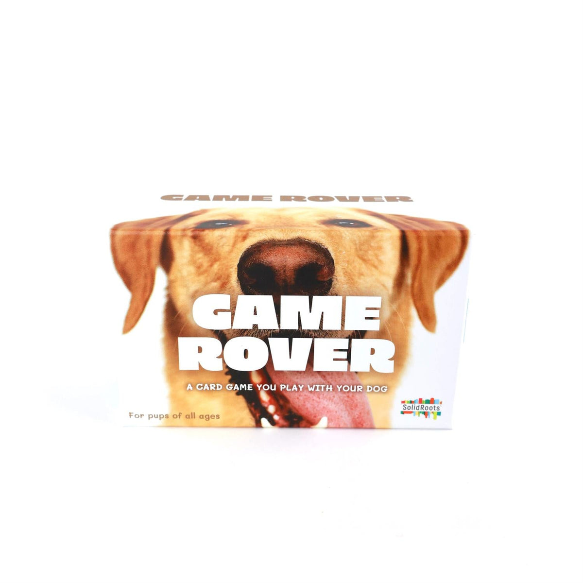 Game Rover - A Game You Play With Your Dog