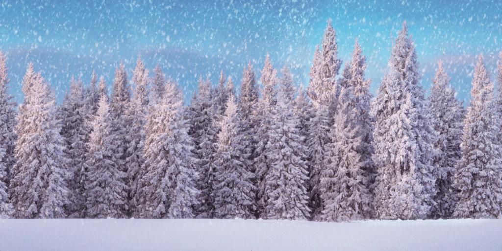 My Village Background Cloth - Snow Forest -  59x30 inch