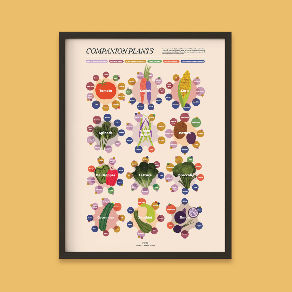 Companion Plants Print