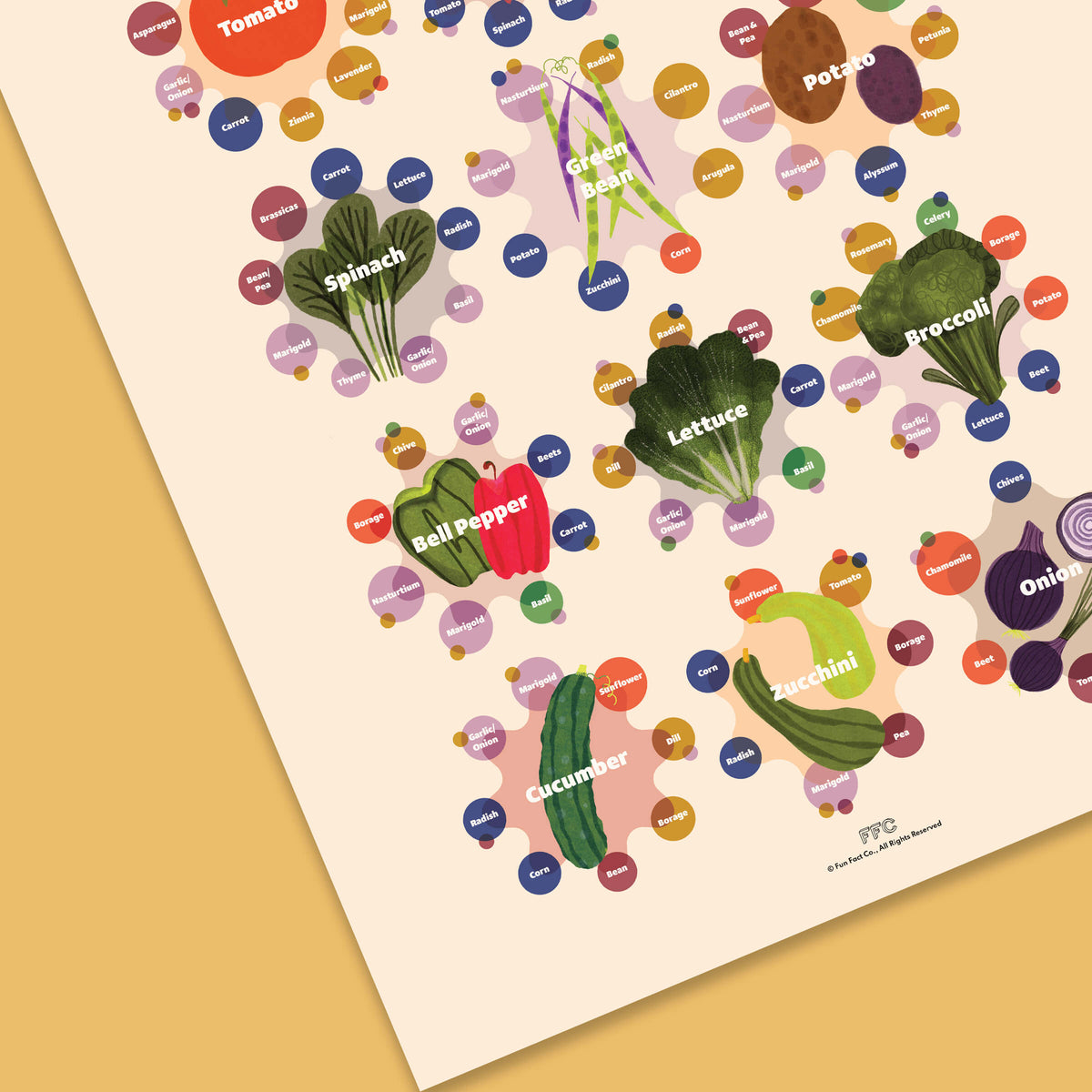Companion Plants Print