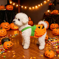 Halloween Pumpkin Pet Costume Dress, Funny Pumpkin Transform Outfit, Adjustable Harness Dress For Small Dogs Cats, Cute Halloween Party Cosplay Clothes For Teddy Bichon Puppy Kitten