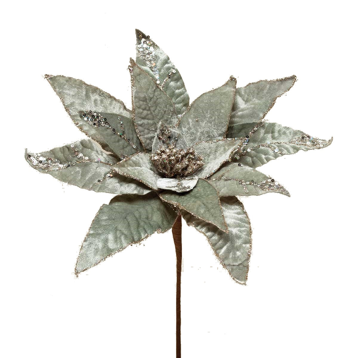 Heirloom Poinsettia Stem - Champagne