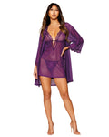 Dreamgirl Stretch Mesh Chemise & Robe Set