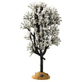 White Hawthorn Tree - 5 Inch