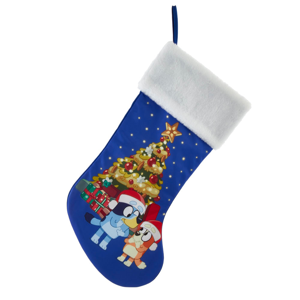Bluey and Bingo Stocking