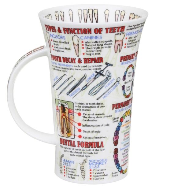 Teeth Fine Bone China Mug Glencoe Style