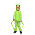 Child Green Grasshopper Costume