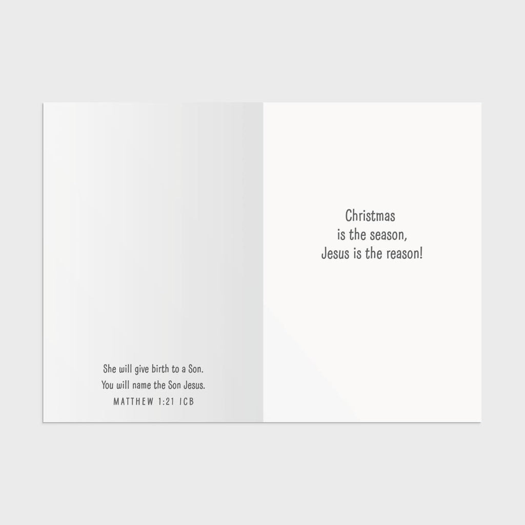 Create Your Own Nativity Christmas Cards -8 Christmas Boxed Cards