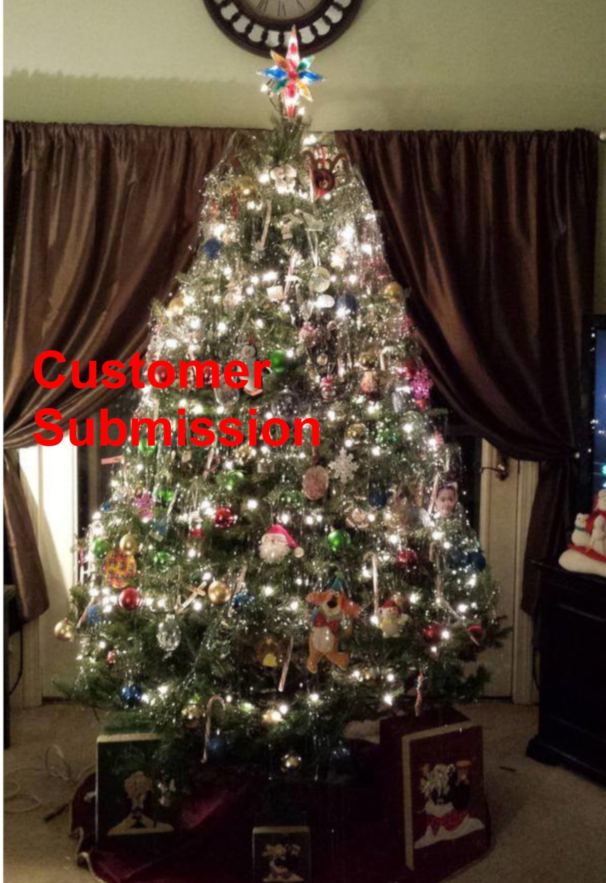 Real Christmas Trees Delivered 7 Foot Premium Balsam-Fraser Fir Hybrid