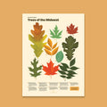 Trees of the Midwest Print