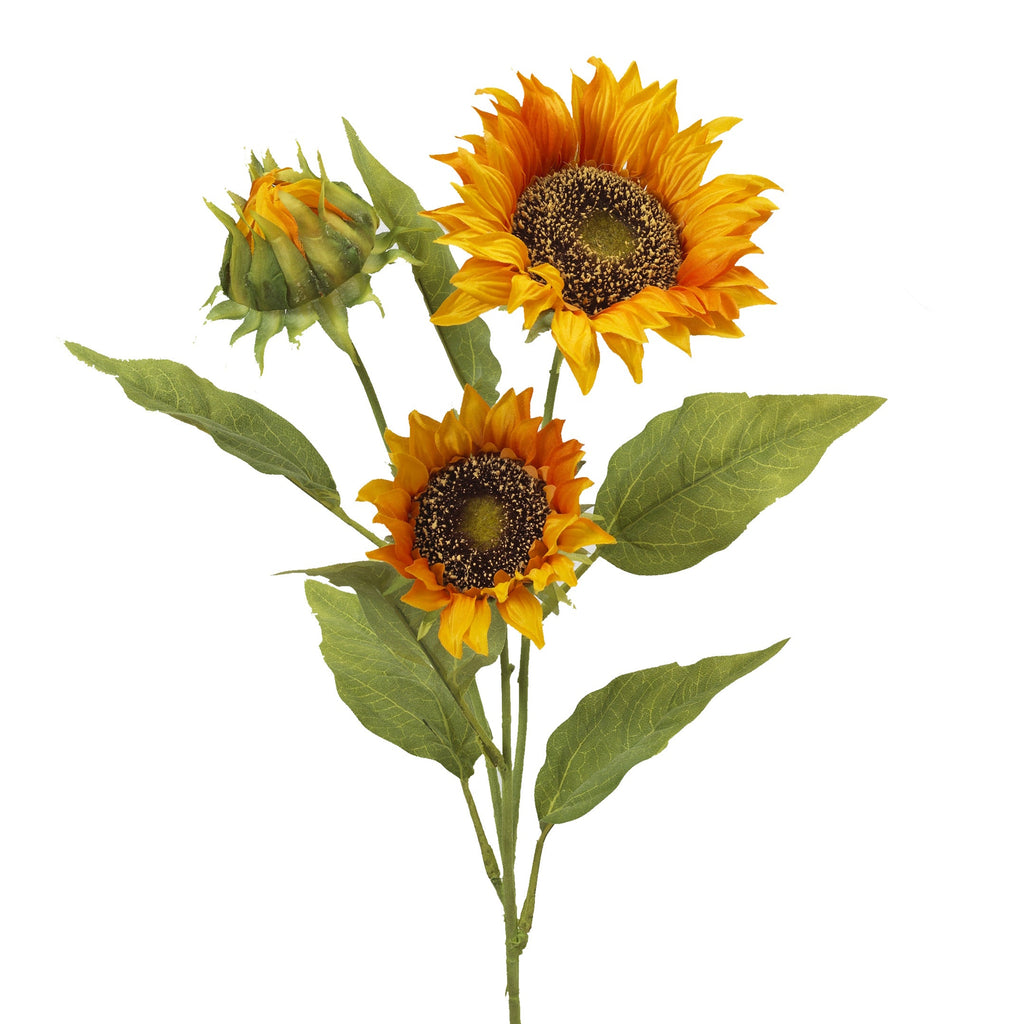 Three Bloom Sunflower Stem -