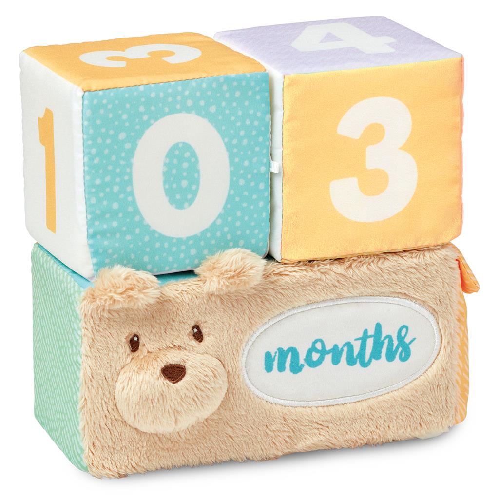 Milestones and Moments Soft Block Set