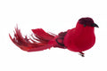 Red Bird w/ long tail & Clip Attachment