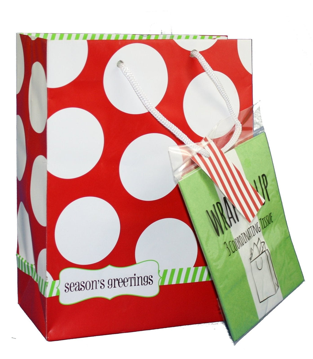 Traditional Gift Bag With Matching Tissue - Red Dots Medium
