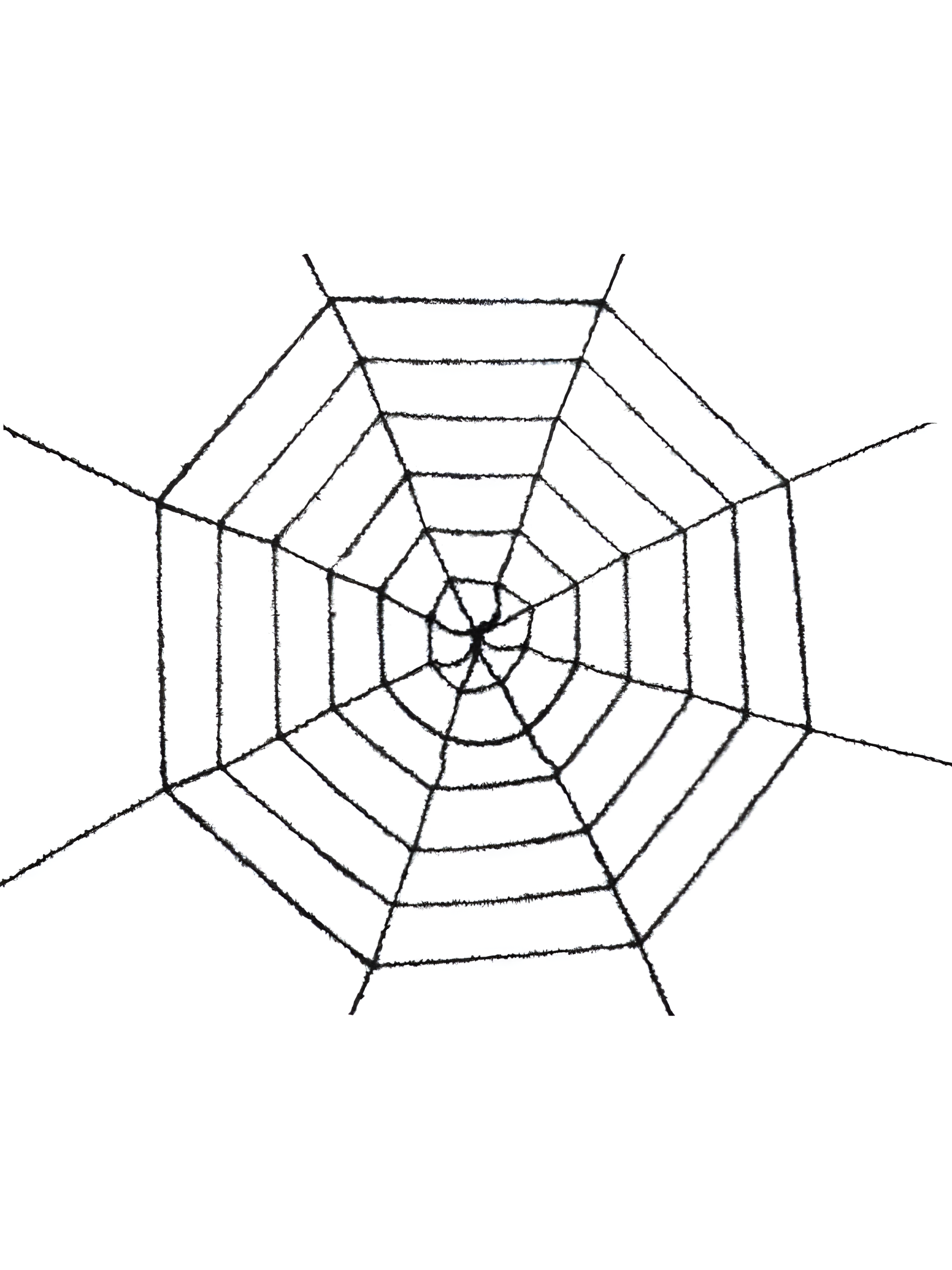 Black Tinsel Spider Web