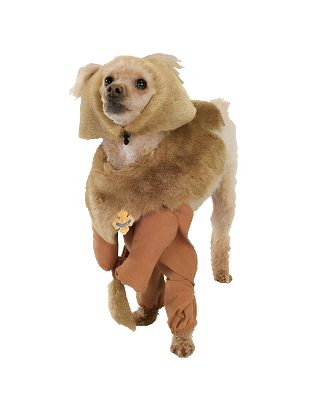 Cowardly Lion Dog Costume