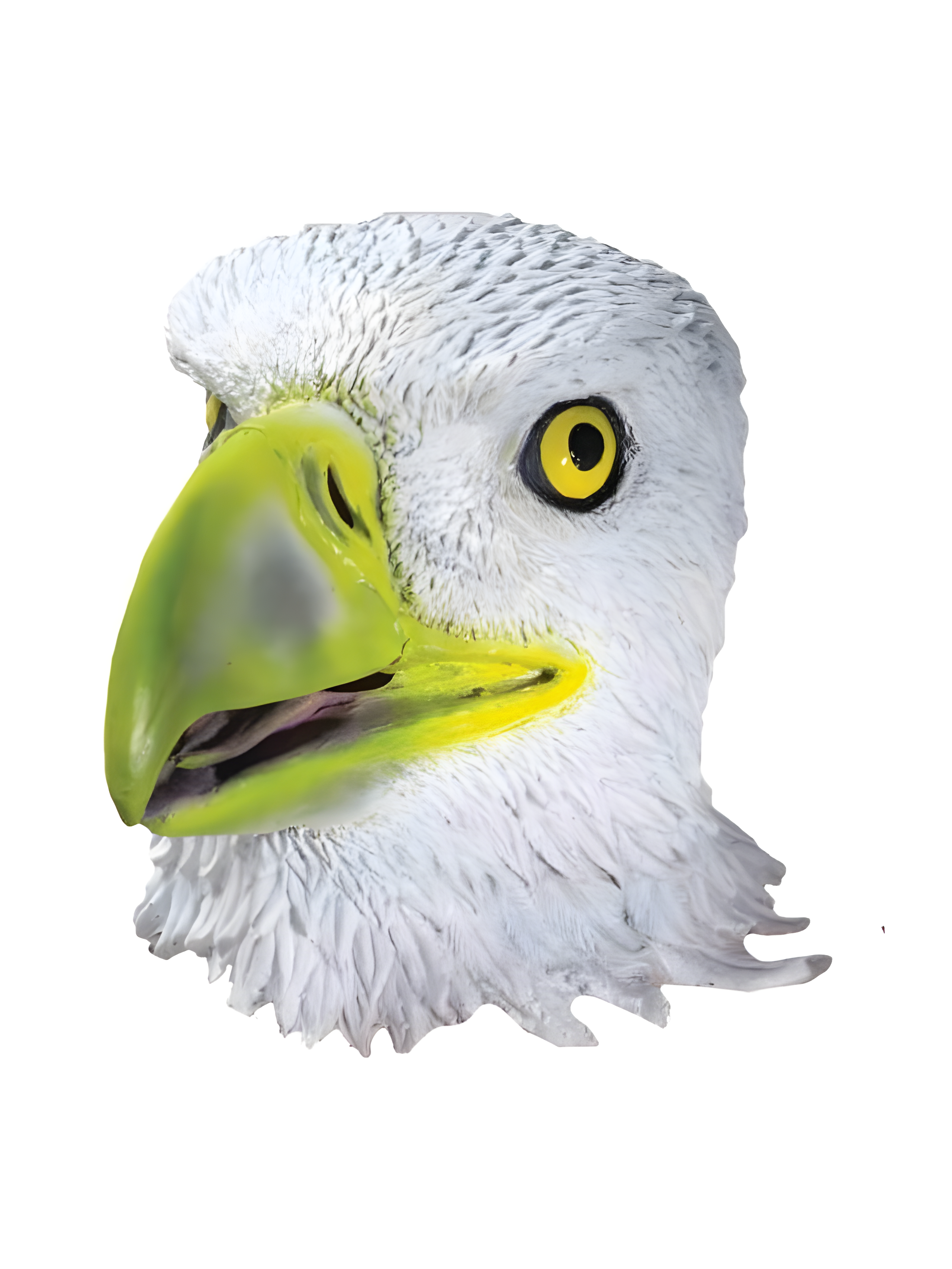Latex Eagle Mask