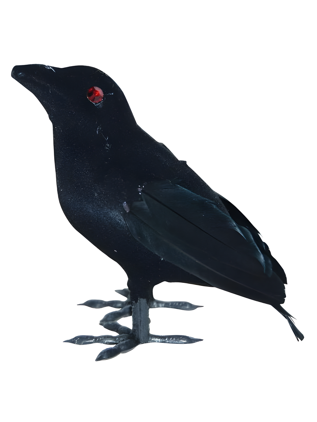 Small Flocked Crow