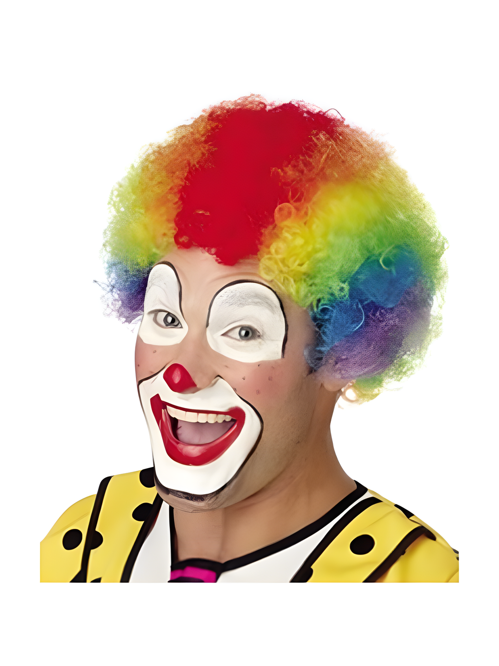 Fantasy Clown Wig