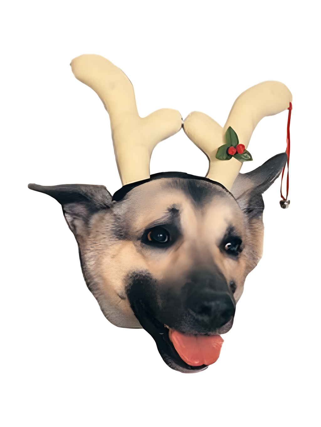 Dog Reindeer Antler Headpiece