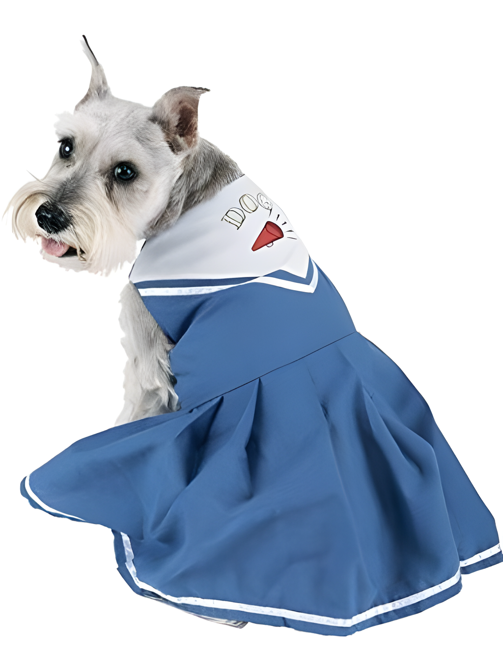 Cheerleading Dog Costume