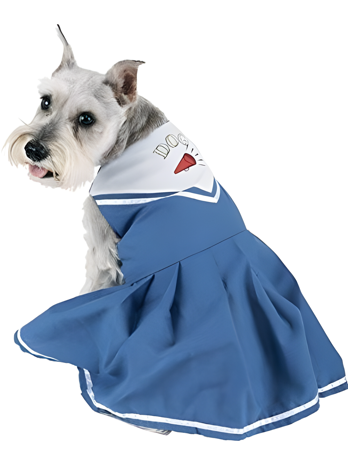 Cheerleading Dog Costume