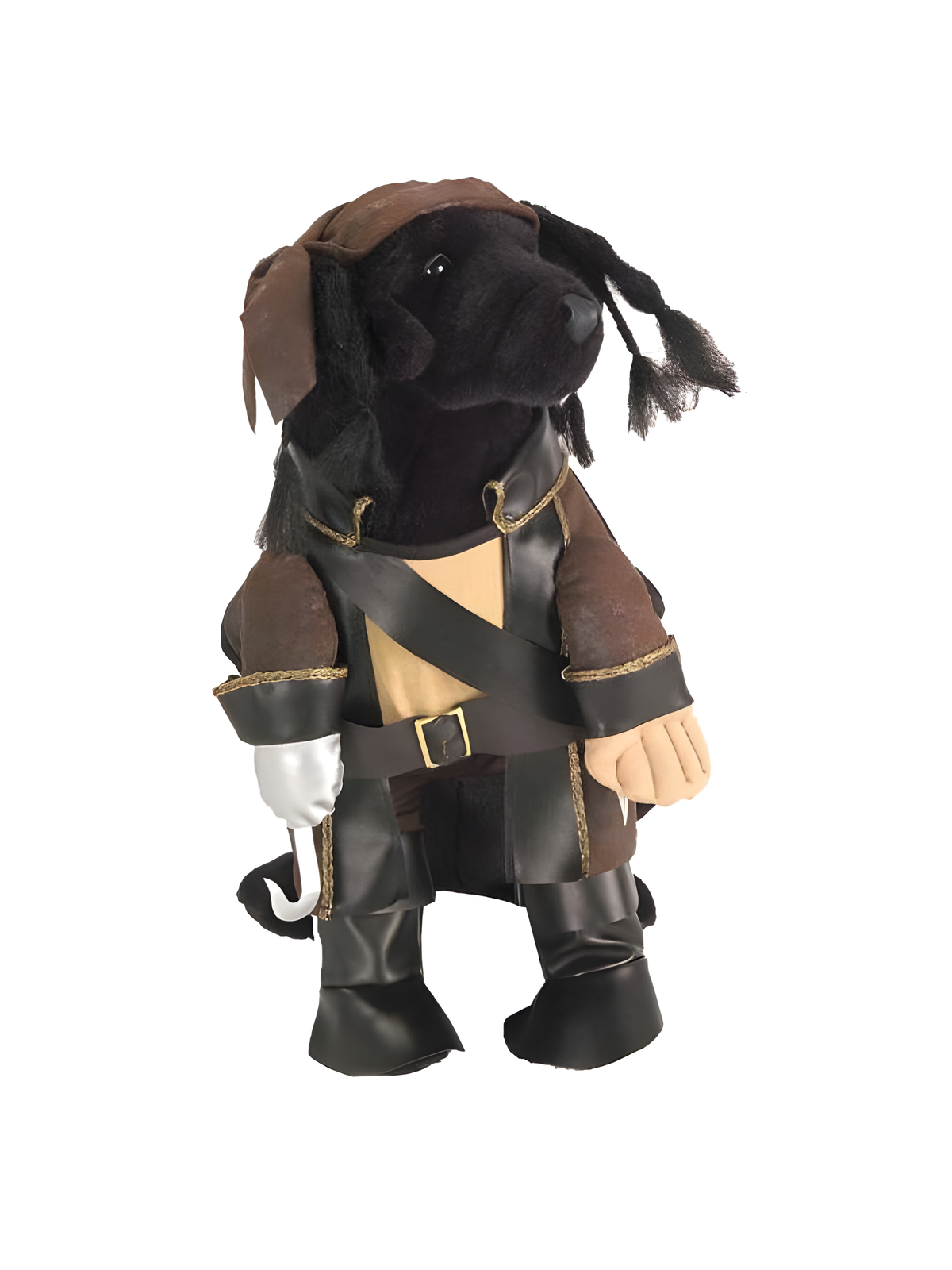 Pirate King Dog Costume