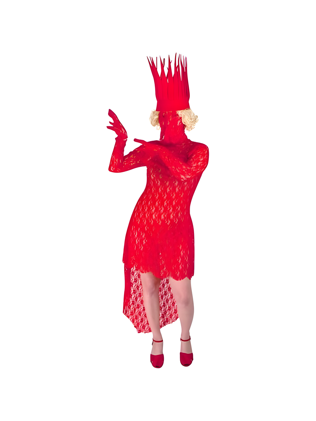 Pop Singer Diva Costume