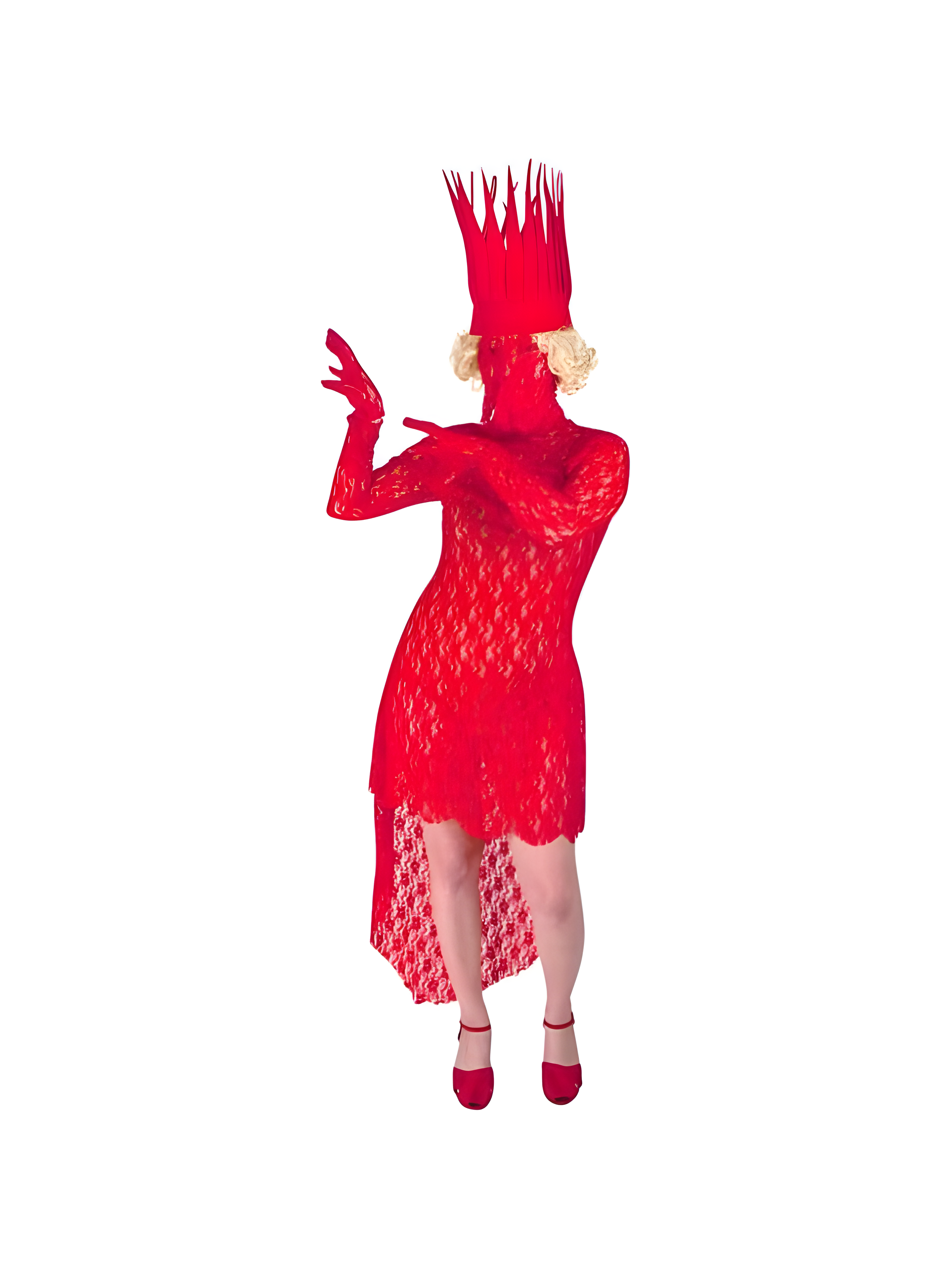 Pop Singer Diva Costume