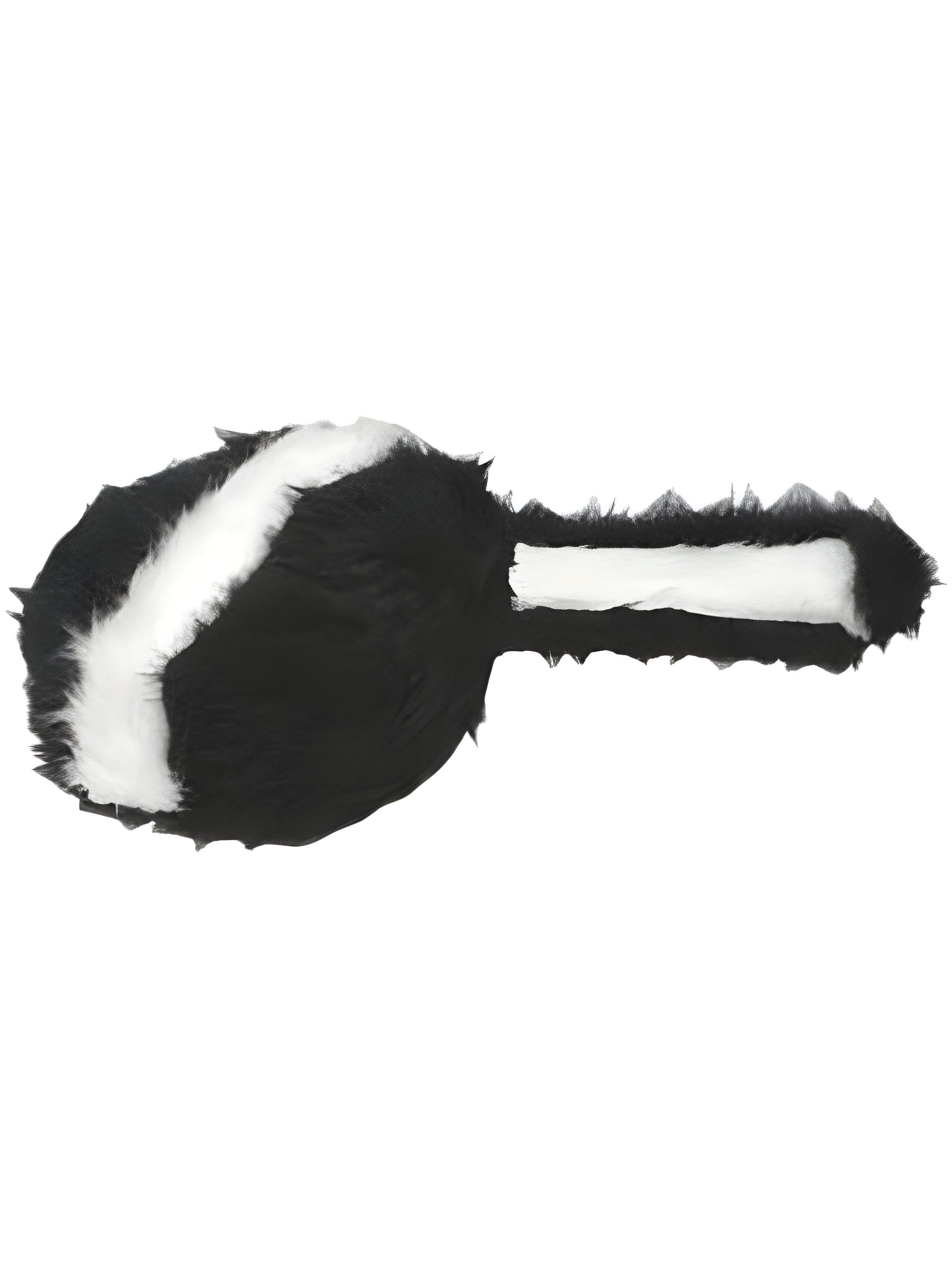 Child Skunk Hat