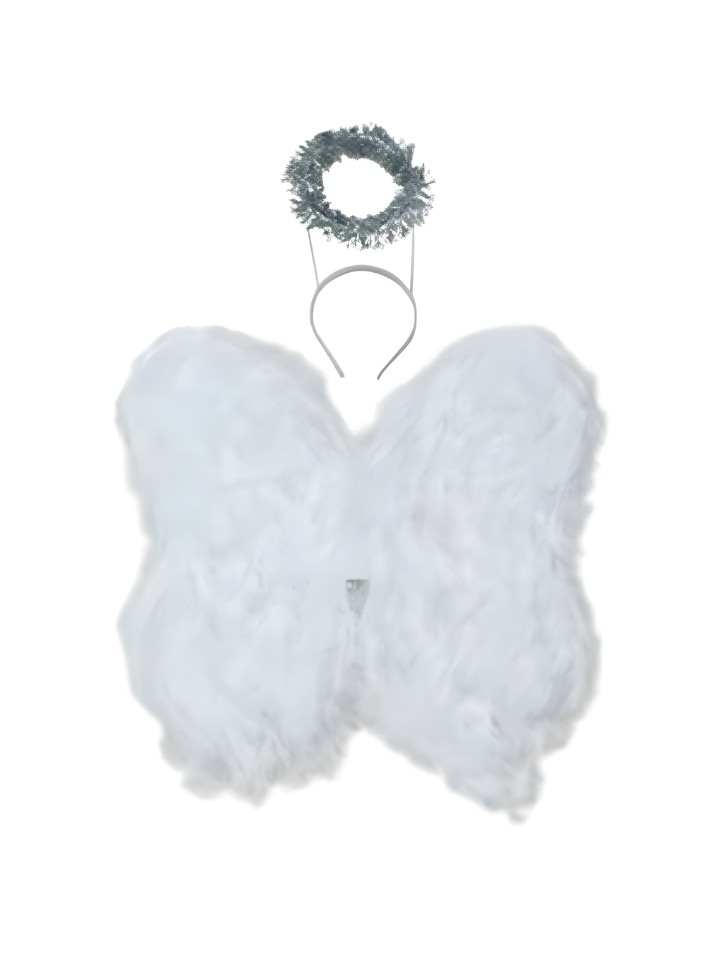 Feather Angel Wings with Halo