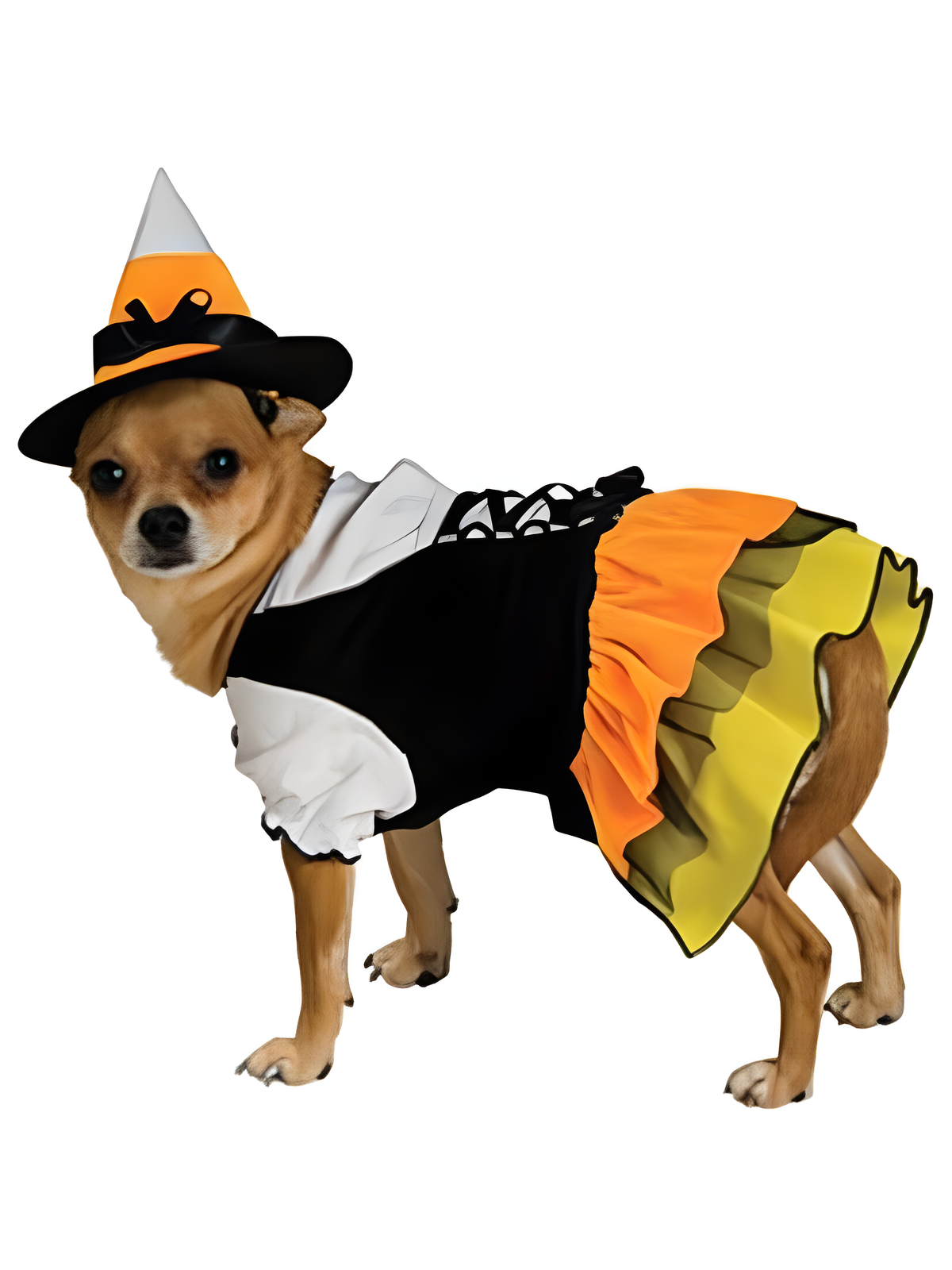 Candy Corn Witch Dog Costume
