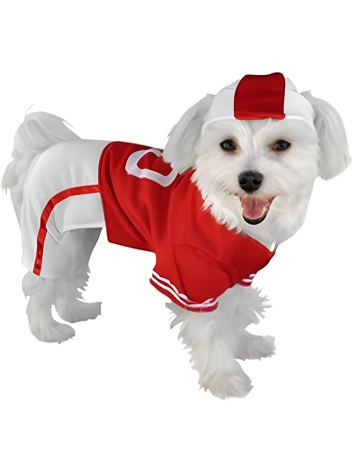 Red Football Player Dog Costume