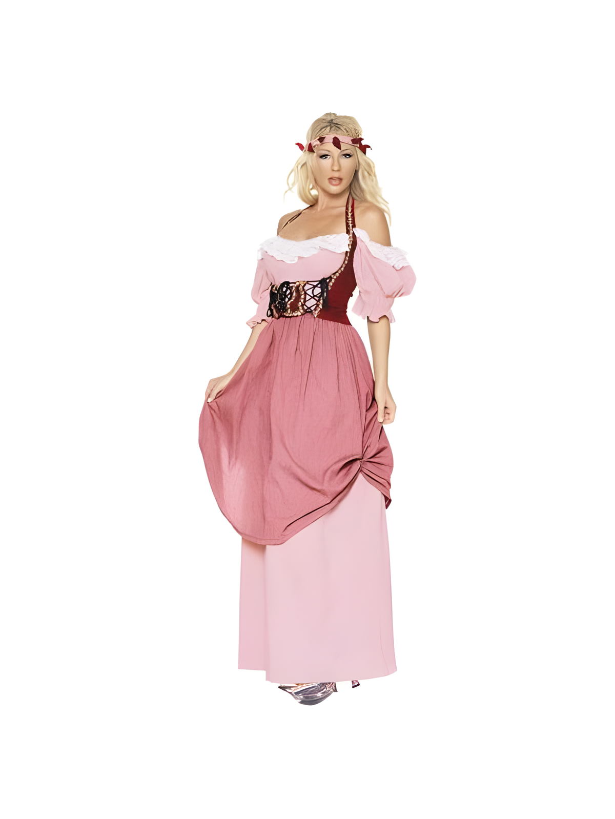 Renaissance Dress Costume