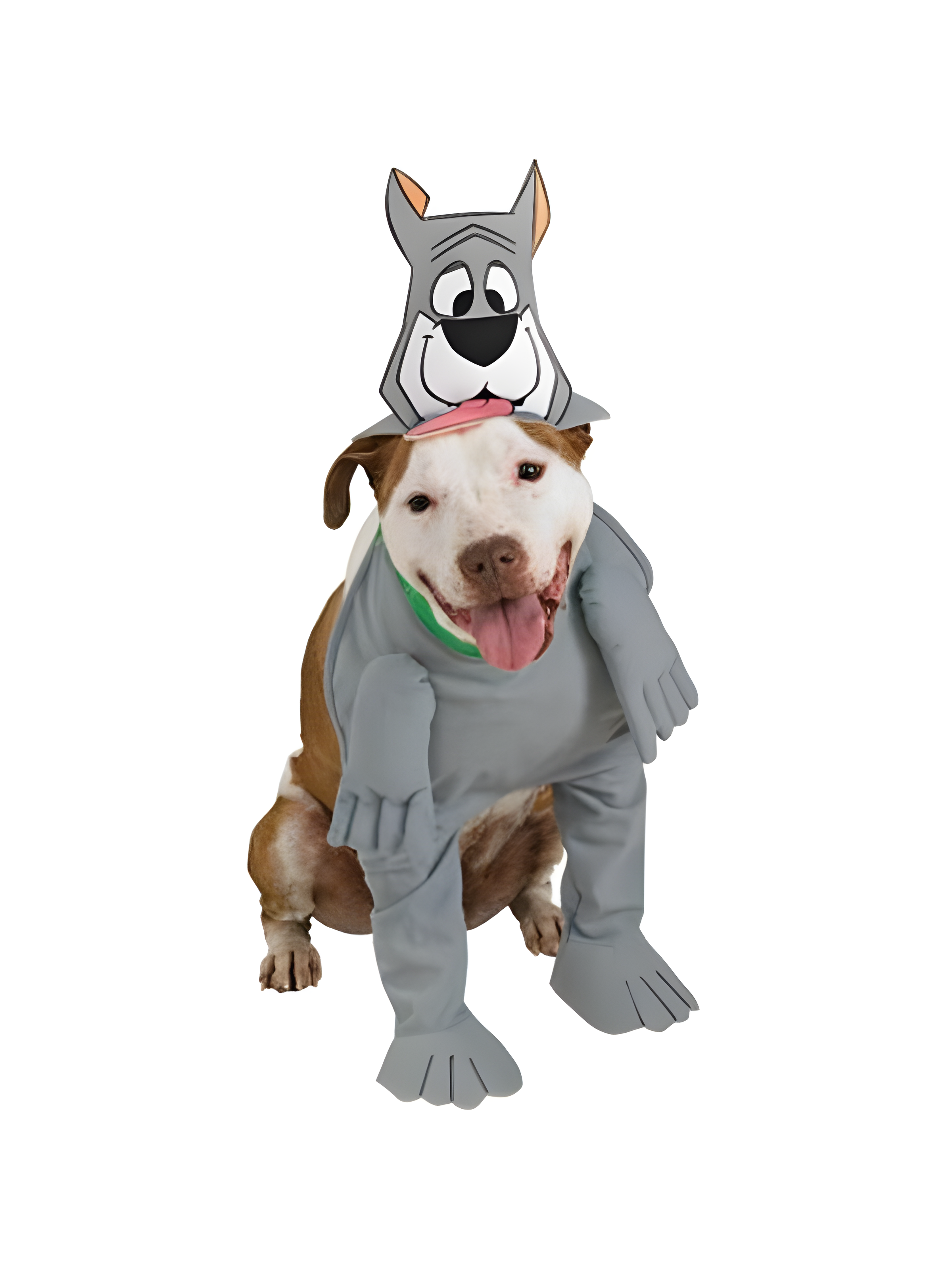 Astro Dog Costume