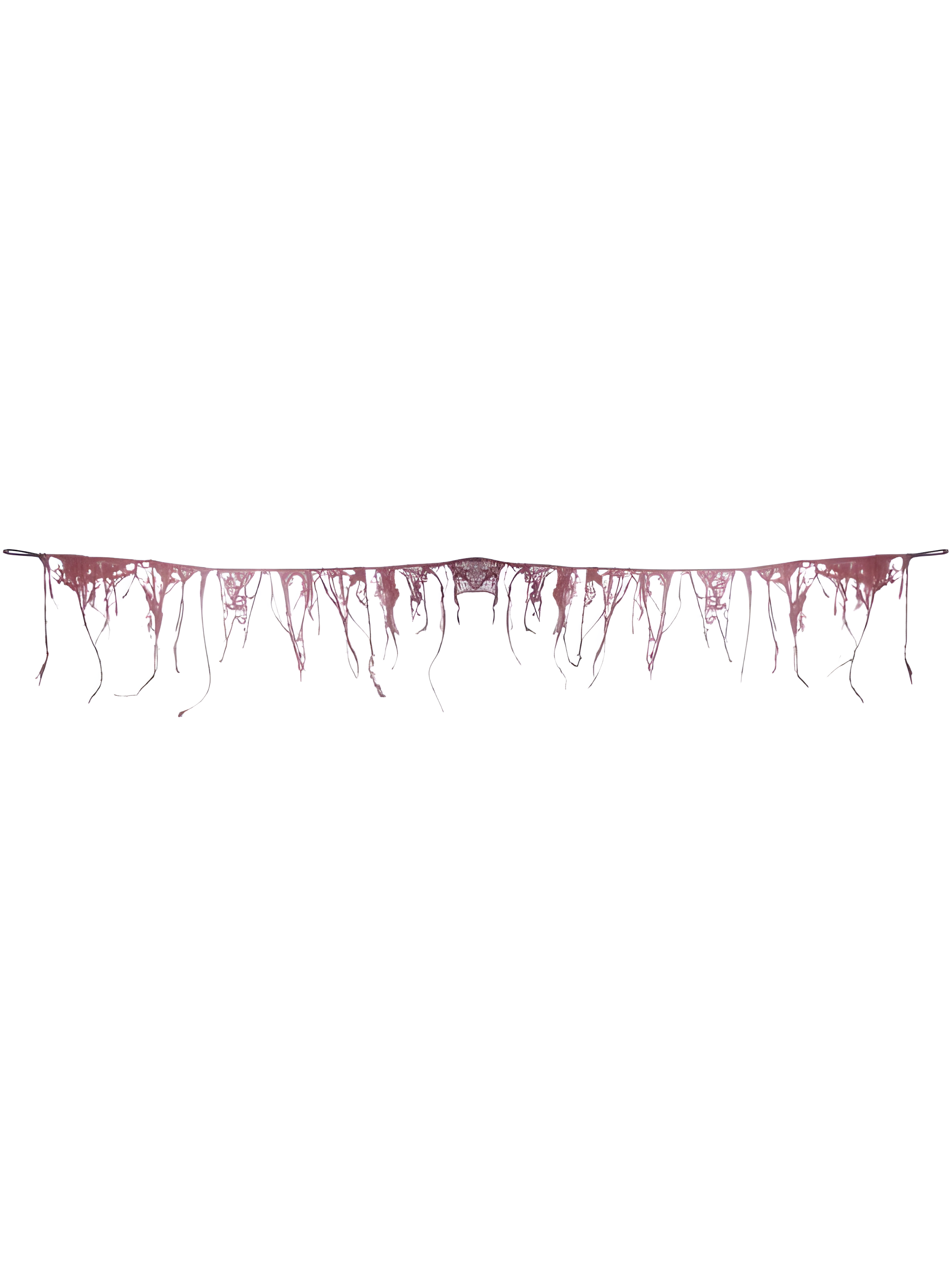 String of Nerve Garland