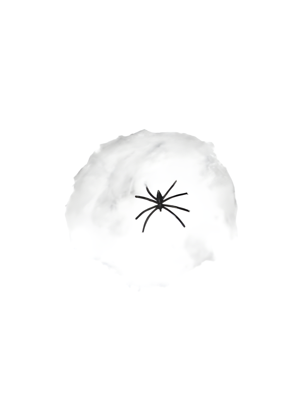 Small Spider Web Fiber with Plastic Spider Prop