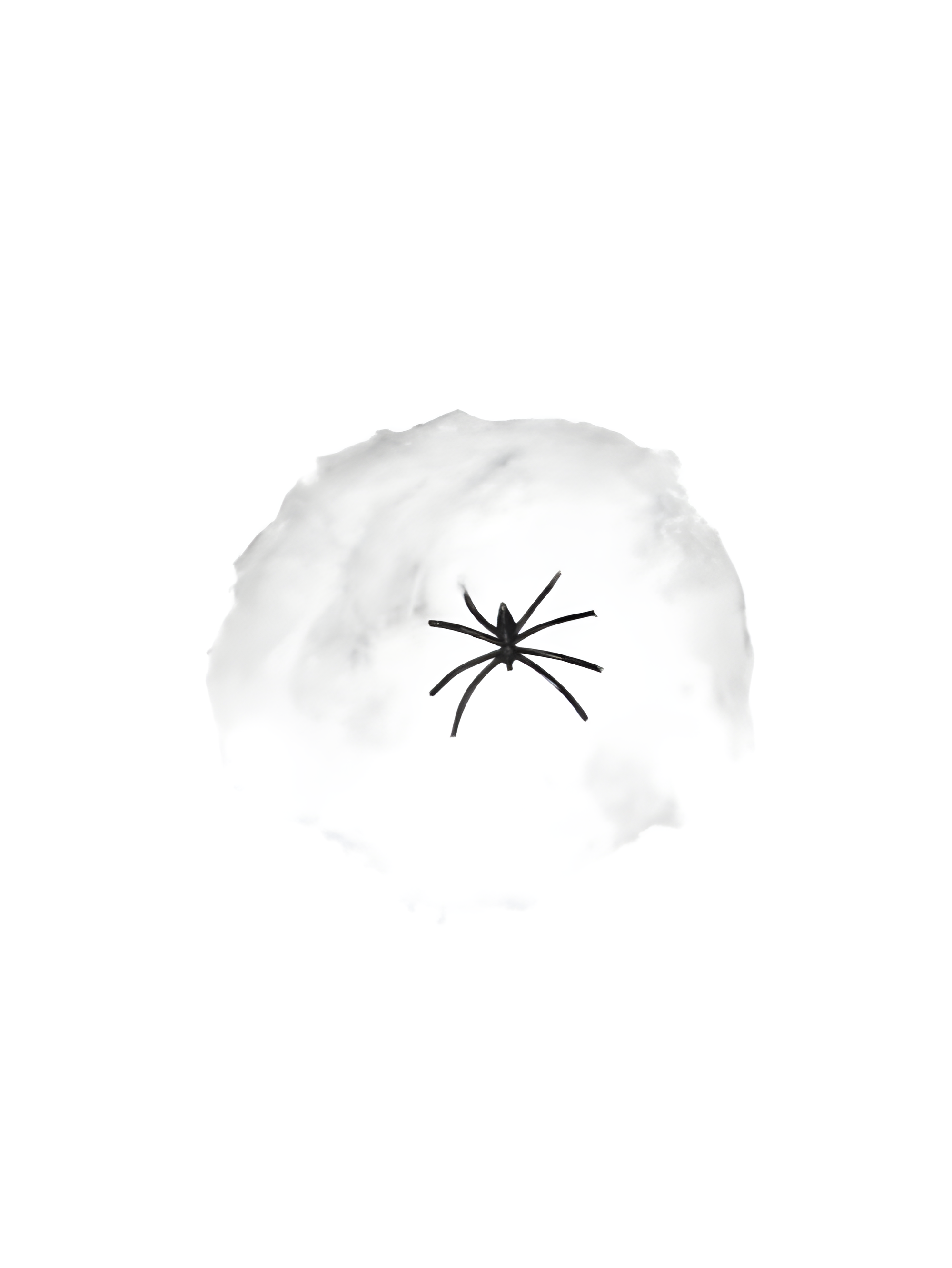 Small Spider Web Fiber with Plastic Spider Prop