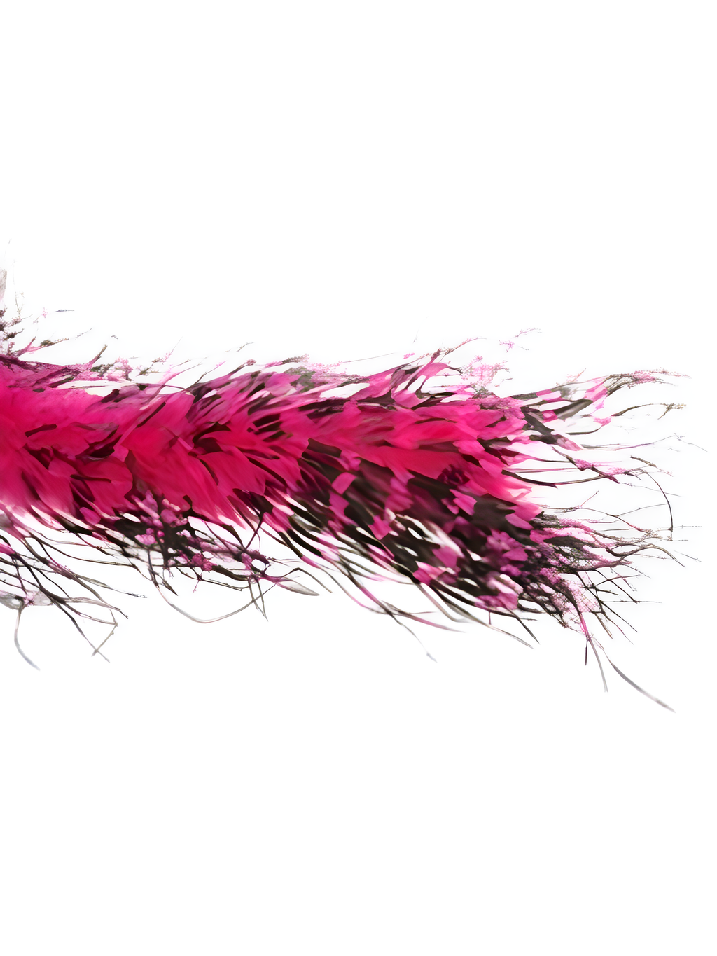Fuchsia/Black Ostrich Feather Boa