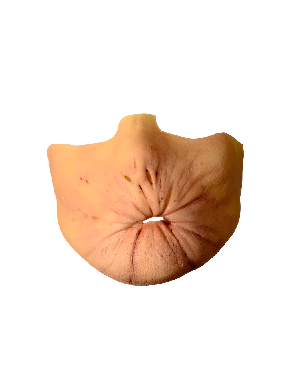Preacher Arseface Costume Appliance Kit